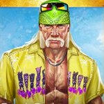 Hulk-Hogan-WWE-Immortals.jpg
