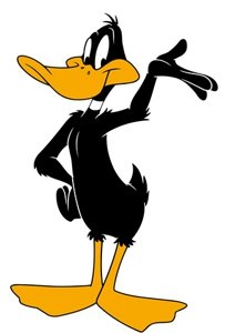 daffy-duck.jpg