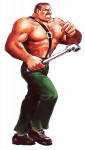 Final_Fight_-_Mike_Haggar.png
