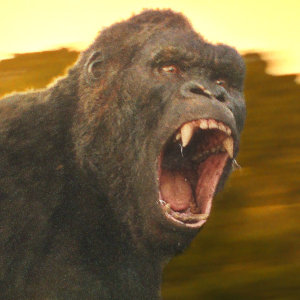 More information about "King Kong vs. Kumonga"
