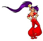 Shantae back