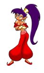 Shantae Cross