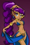 Shantae dancer outfit