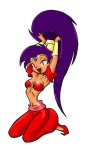 Shantae kneeling