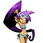 Shantae Bikini