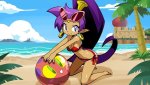 Shantae beach