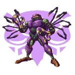 Tarantulas 6.jpg