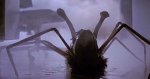 The Thing Spider.jpg