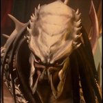 Warlord_Predator.jpg