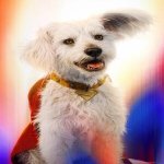 rsz_krypto.jpg