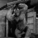 Mighty Joe Young.png