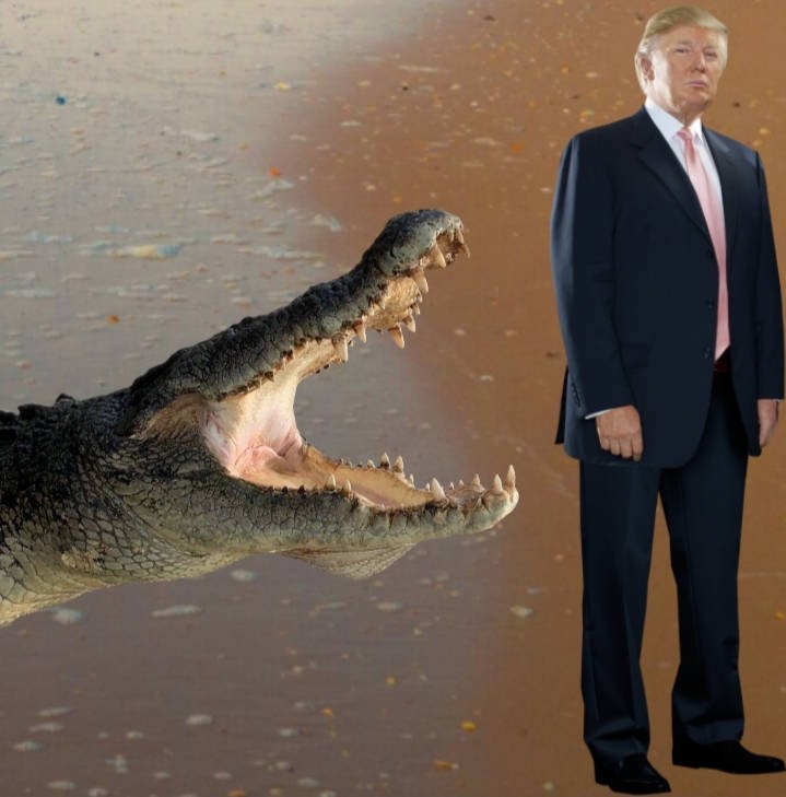 this_huge_crocodile_about_to_attack_donald_trump_by_pyro_raptor_dl8tck2-375w-2x.jpg