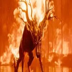 FireWolf