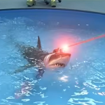 Sharks with Lasers.png